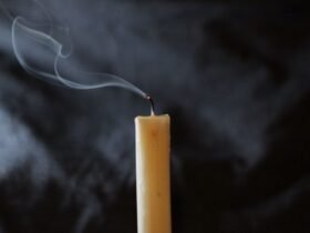 Is Habersham Candle Company Going Out Of Business